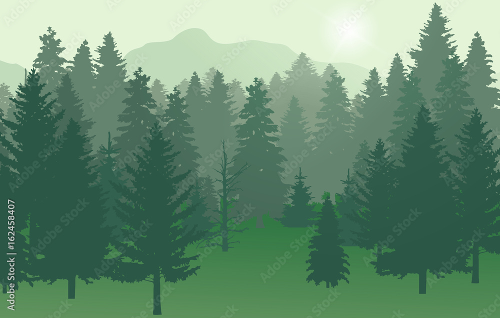 Fototapeta premium Forest nr2 green with sun