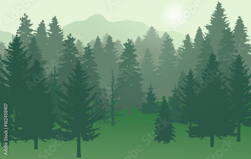 Forest nr2 green with sun