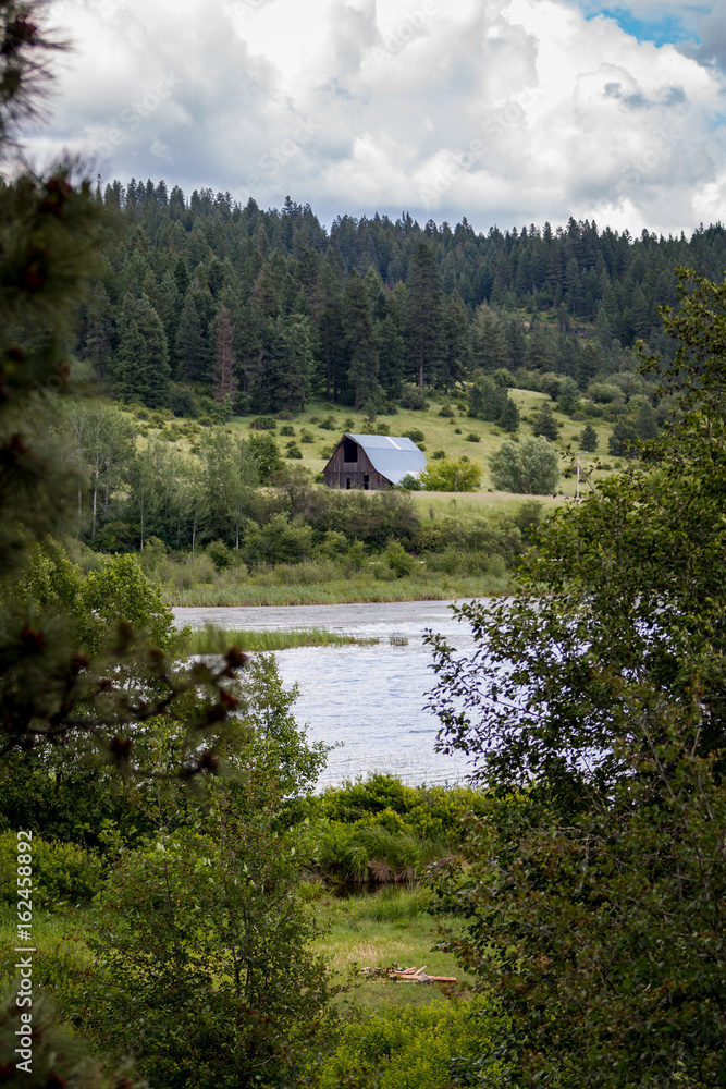 Obraz premium Rural Scene