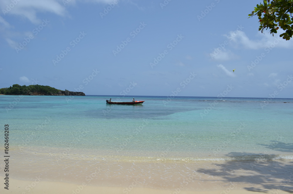 Jamaica Winnifred Beach bobsled