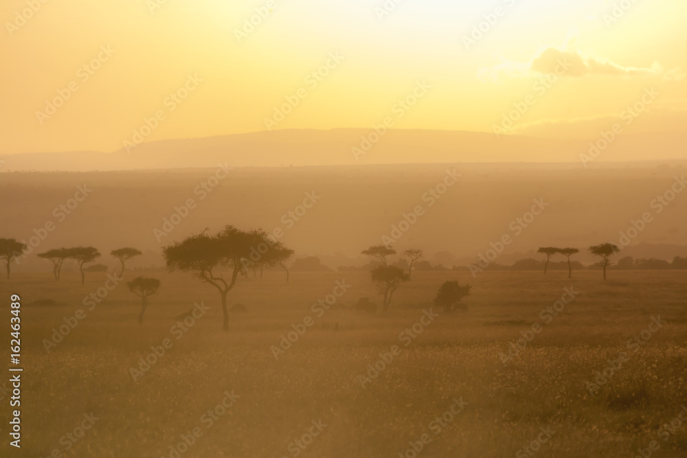 Beautiful Foggy Sunrise in Savanna grassland Ecosystem, The Maasai Mara National Reserve, Kenya, Africa