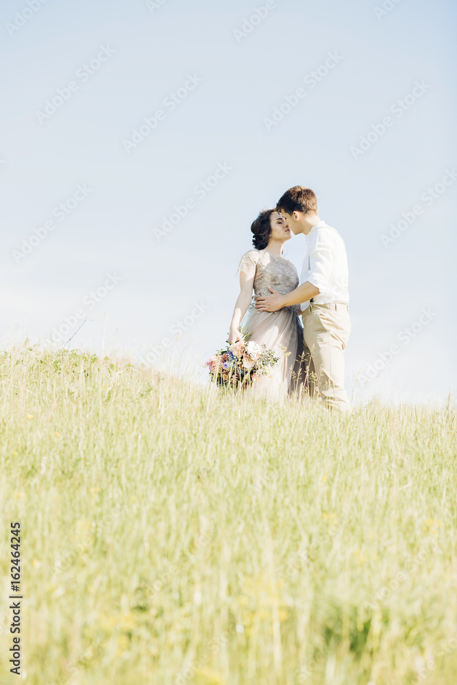 wedding couple on nature. bride and groom hugging at wedding. wedding couple on nature. bride and groom hugging at wedding.