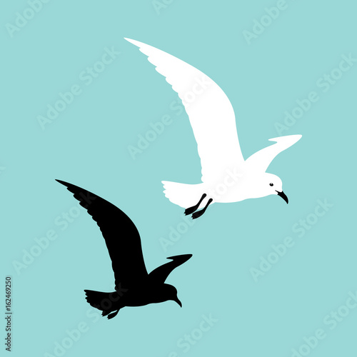 seagull   vector illustration style Flat black silhouette