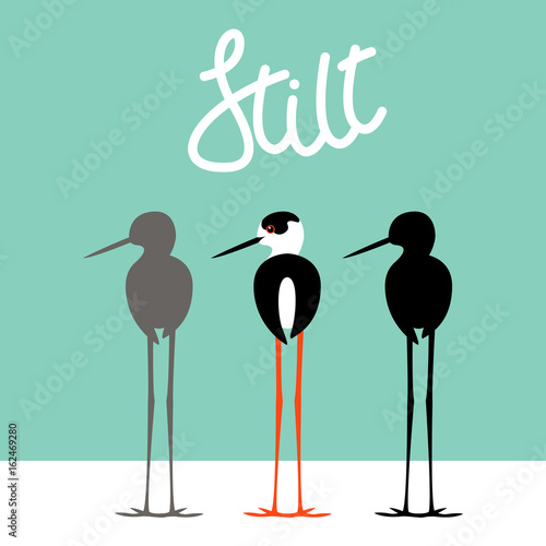 stilt  bird  vector illustration style Flat black silhouette