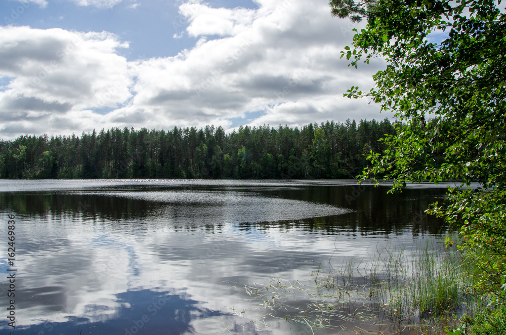 Fototapeta premium Summer landscape of Karelia