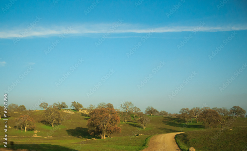 Photo of dirt road and leafless trees in the countryside