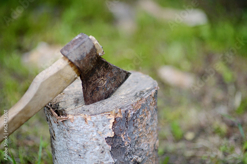 The old axe on a birch stub