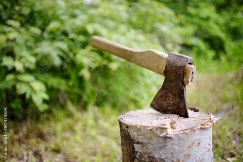 The old axe on a birch stub