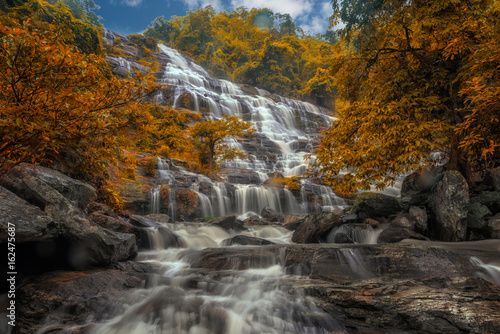 Mae Ya Waterfall ans Fallen leaves and leaves change color in Doi Inthanon National Park.