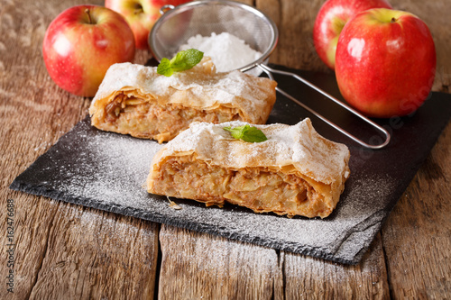 Traditional piece of apple strudel with powdered sugar and mint closeup. horizontal photo