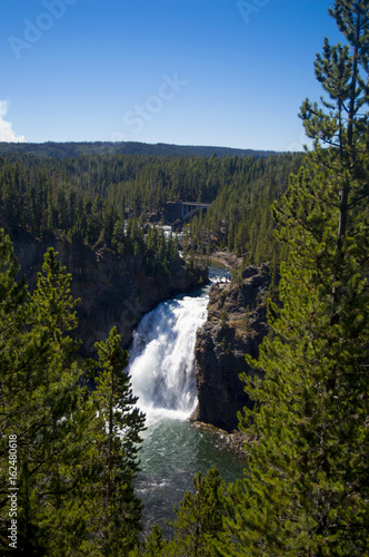 Yellowstone National Park  Wyoming  USA 