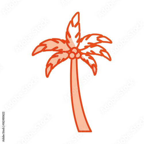 tropical leaf summer icon vector illustration design
