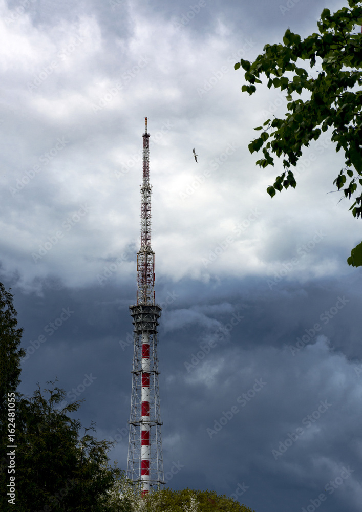 TV and radio tower, metal, trees, bird, sky with clouds TV and radio tower, metal, trees, bird, sky with clouds