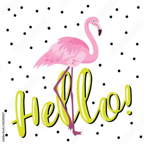 illustration of cute cartoon flamingo on white background