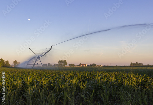 Agricultural irrigation system watering corn field at sunset