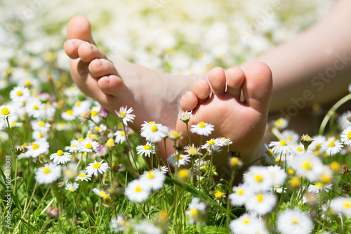 Child's feet in daisy closeup view. Shoeless boy. Little boy lying on summer meadow green grass with daisy.