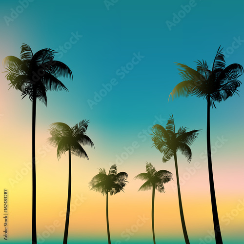 Palms against the sky. Tropical background. Palm leaves. © Nataliia