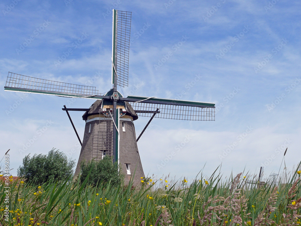 Windmill on the Rotte river in the Zuidplaspolder