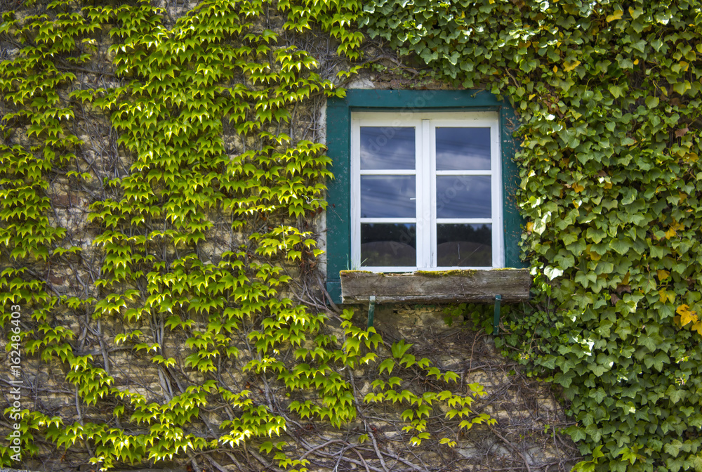 old window