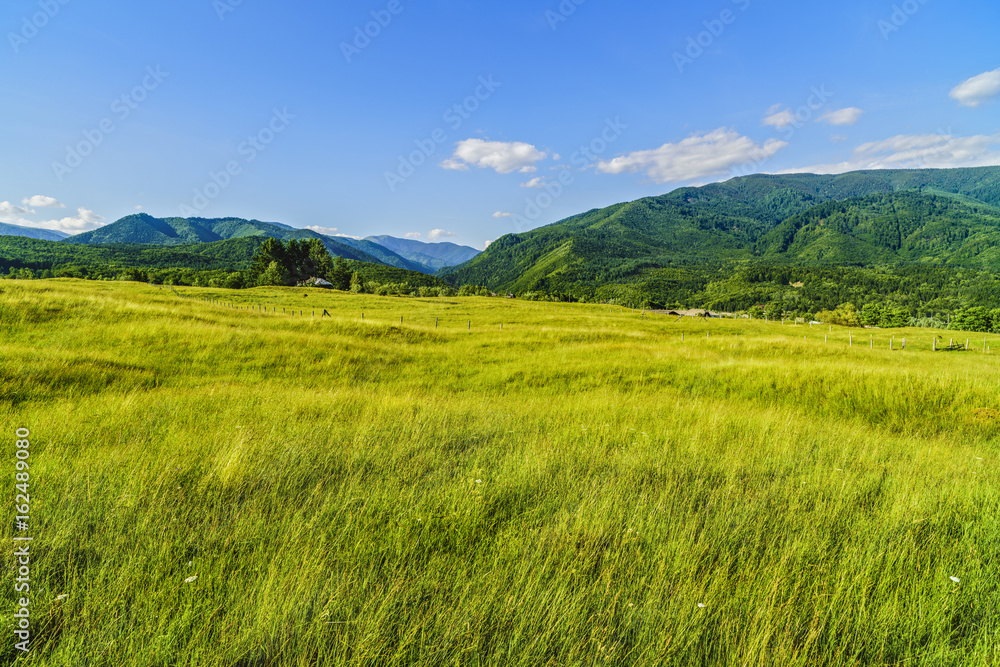 Beautiful mountain landscape in Carpathian mountains