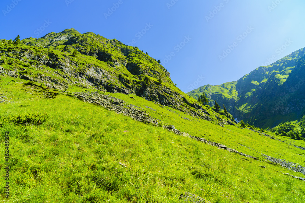 Naklejka premium Beautiful mountain landscape in Carpathian mountains