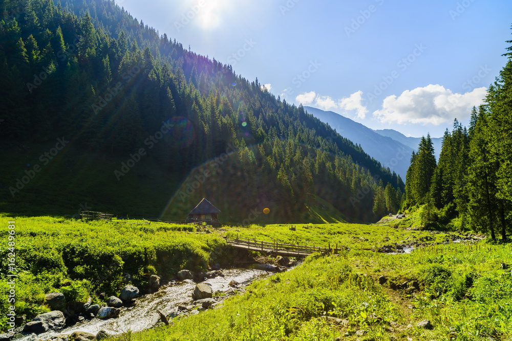 Beautiful scenery with a mountain river in the Fagarasi Mountains Romania