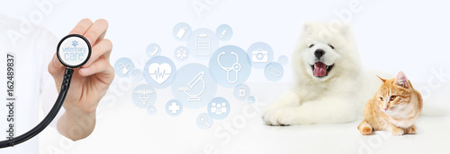 Obraz na płótnie veterinary care concept