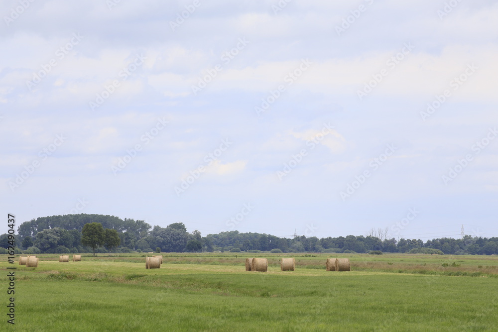 Sankt Jürgen Land im Sommer im Umkreis von Lilienthal