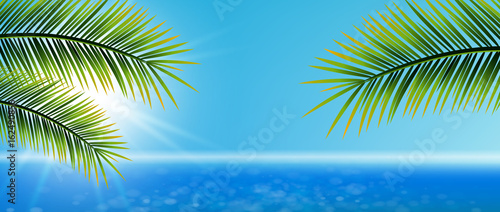 Strand, Wasser, Palmen
