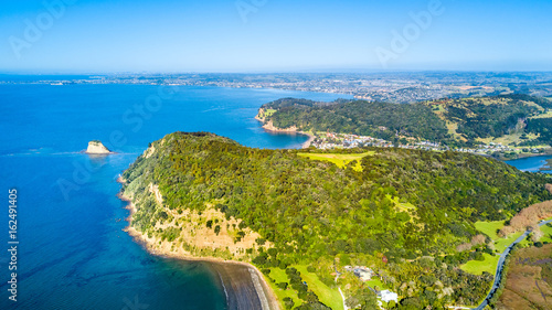 Aerial view on a coastal park area with cliff and forest and residential suburbs on the background. Auckland  New Zealand.