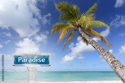 cocotier plage île paradis paradisiaque caraïbes vacances repos voyager partir © shocky