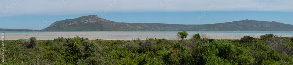 Overlooking fynbos field with a lagoon in the background