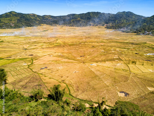 Aerial wide angle view of the spider rice fields at harvest time near Ruteng, Indonesia. photo
