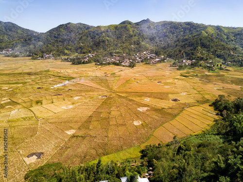 Aerial view illustrating slash and burn agricultural techniques at the spider rice fields, a popular tourist attraction on the island of Flores, Indonesia. photo