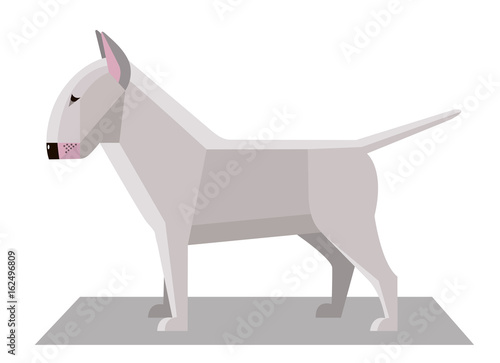 Bull Terrier in the minimalist style