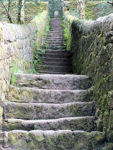 old steep stone steps with walls moss and surrounding vegetation