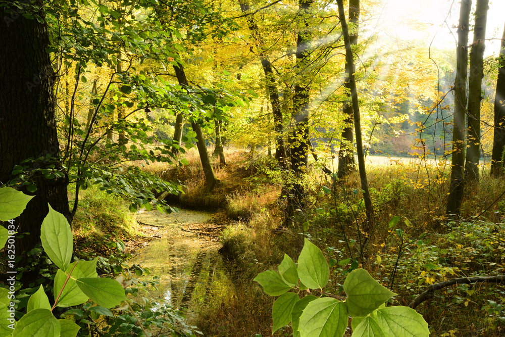 Fototapeta premium Landschaft 389