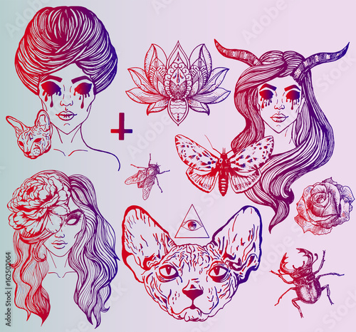 A large set of art tattoos - gothic style. Ideas for a poster on Halloween. Creative portraits of girls. Disturbing Sphinx  unusual flowers and insects