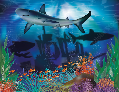 Underwater tropical background with Shark, vector illustration