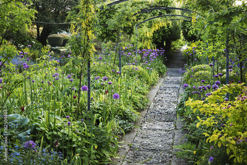 View along a garden path, flower beds with purple Allium and trees in the background. photo