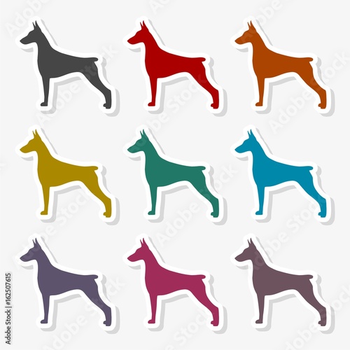 Doberman dog silhouette, side view, vector