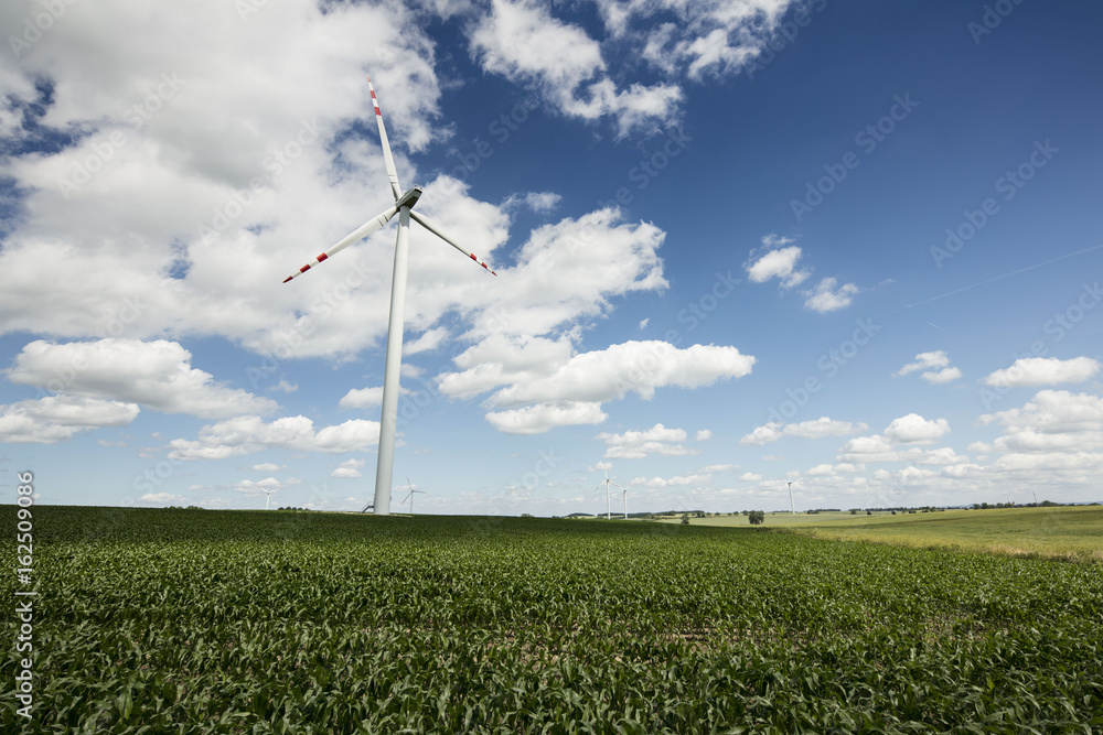 Renewable energy. Farm of wind turbines on the corn field. Renewable energy. Farm of wind turbines on the corn field.
