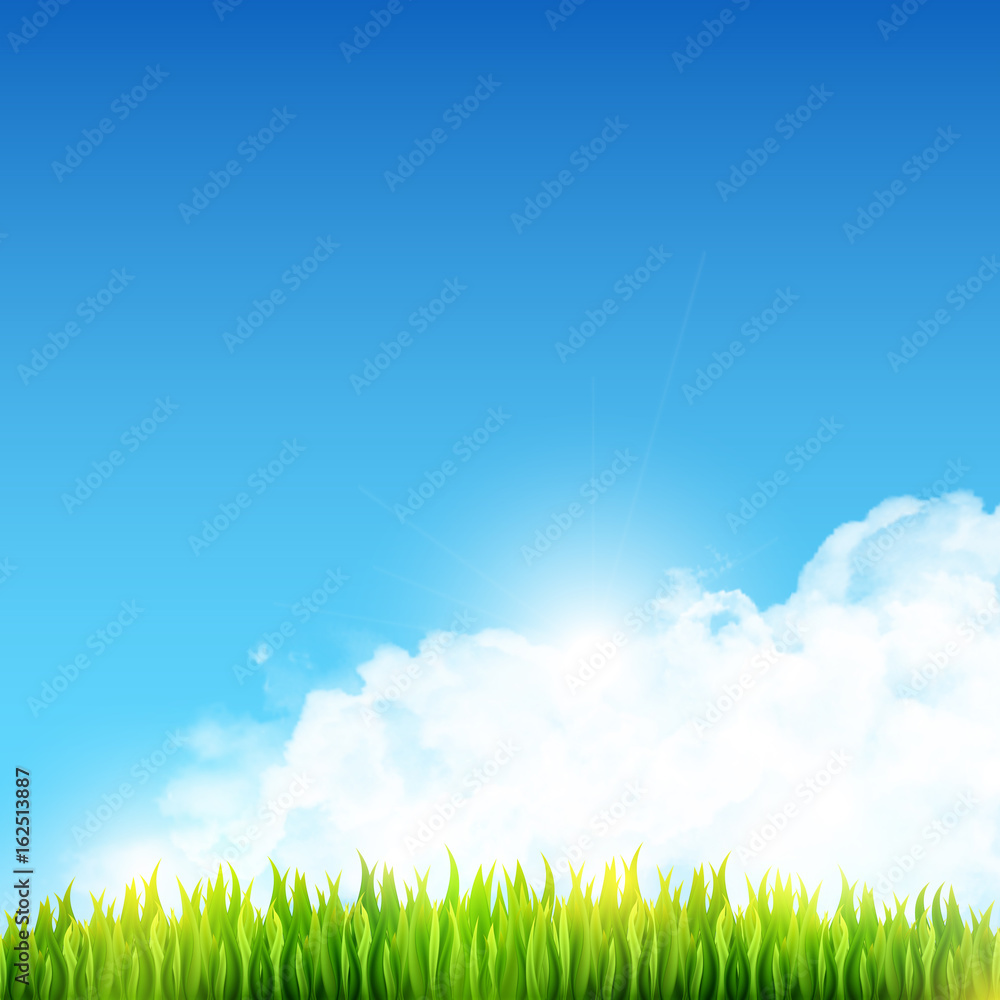 Fototapeta premium Shiny summer vector background with fresh green meadow grass and white transparent realistic fluffy cumulus clouds. Clear blue sky spring vector illustration with copyspace.
