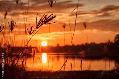 sunset with grass on the lake