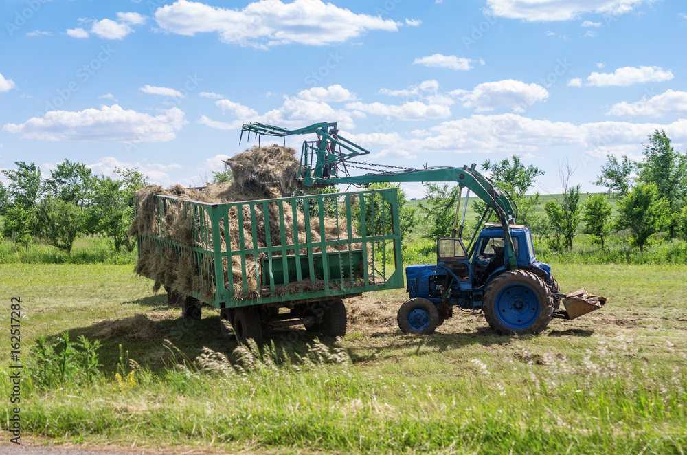 Front loader loads hay in the trailer / Photo taken in Russia, in the Orenburg region