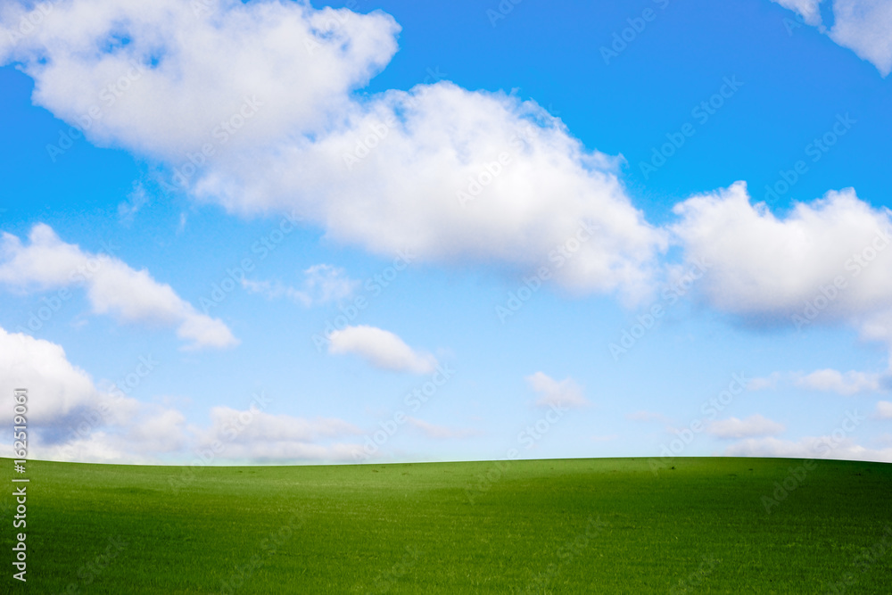 green grass and blue sky with white clouds