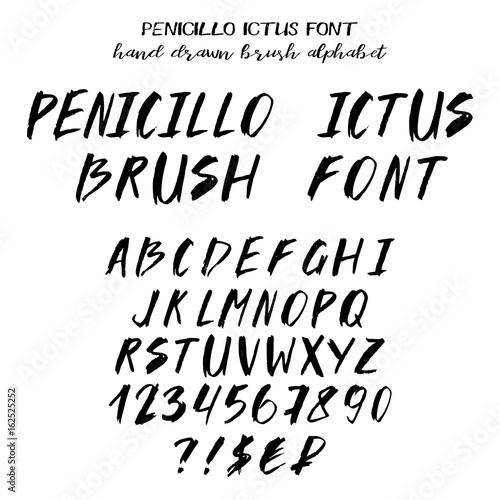 Hand drawn alphabet, written brush font imitating brush strokes: capital latin letters, numbers, some punctuation and signs of currency. Vector illustration