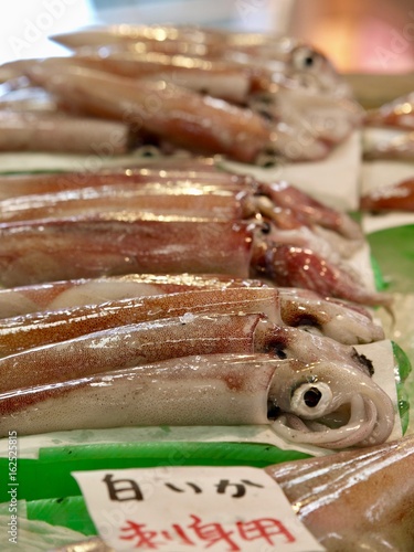 squid/Sakaiminato,Tottori
