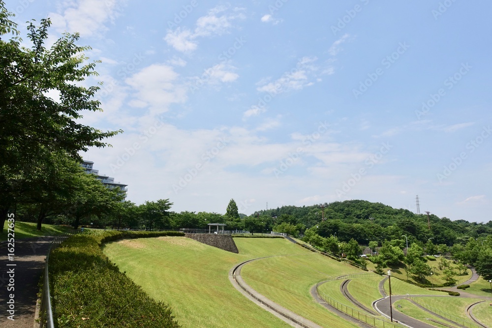 初夏の散歩