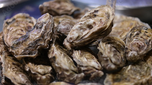 Oysters